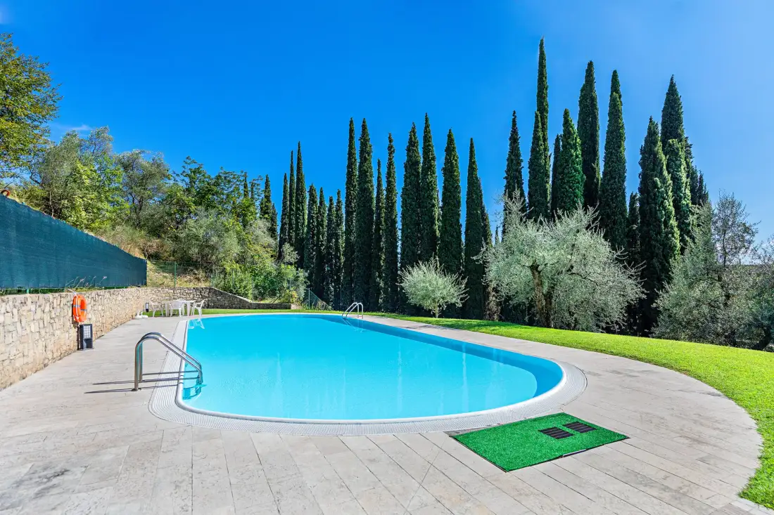 An outdoor swimming pool is surrounded by a paved deck and tall trees.