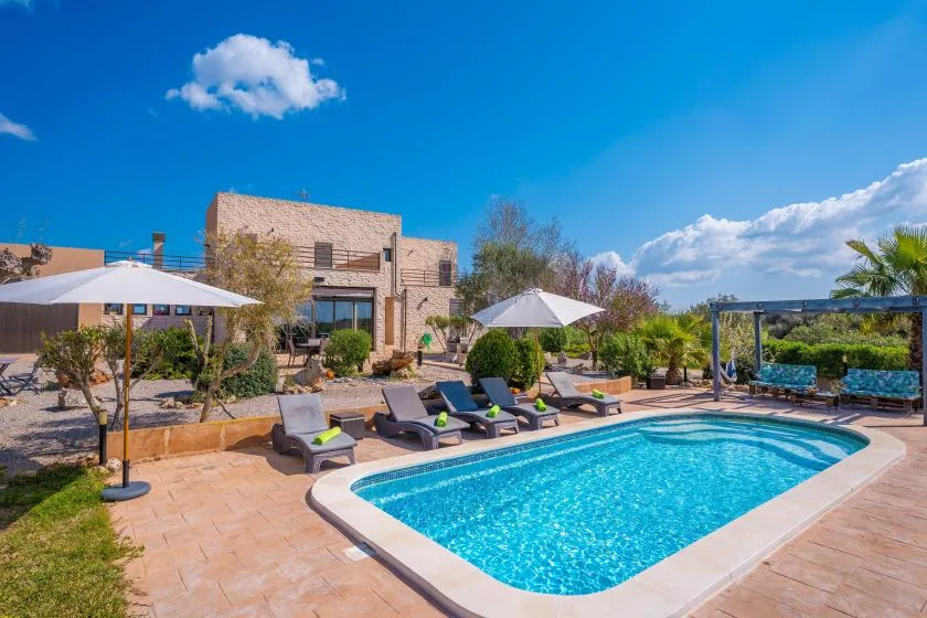 An outdoor swimming pool sits beside a paved patio with loungers and umbrellas.