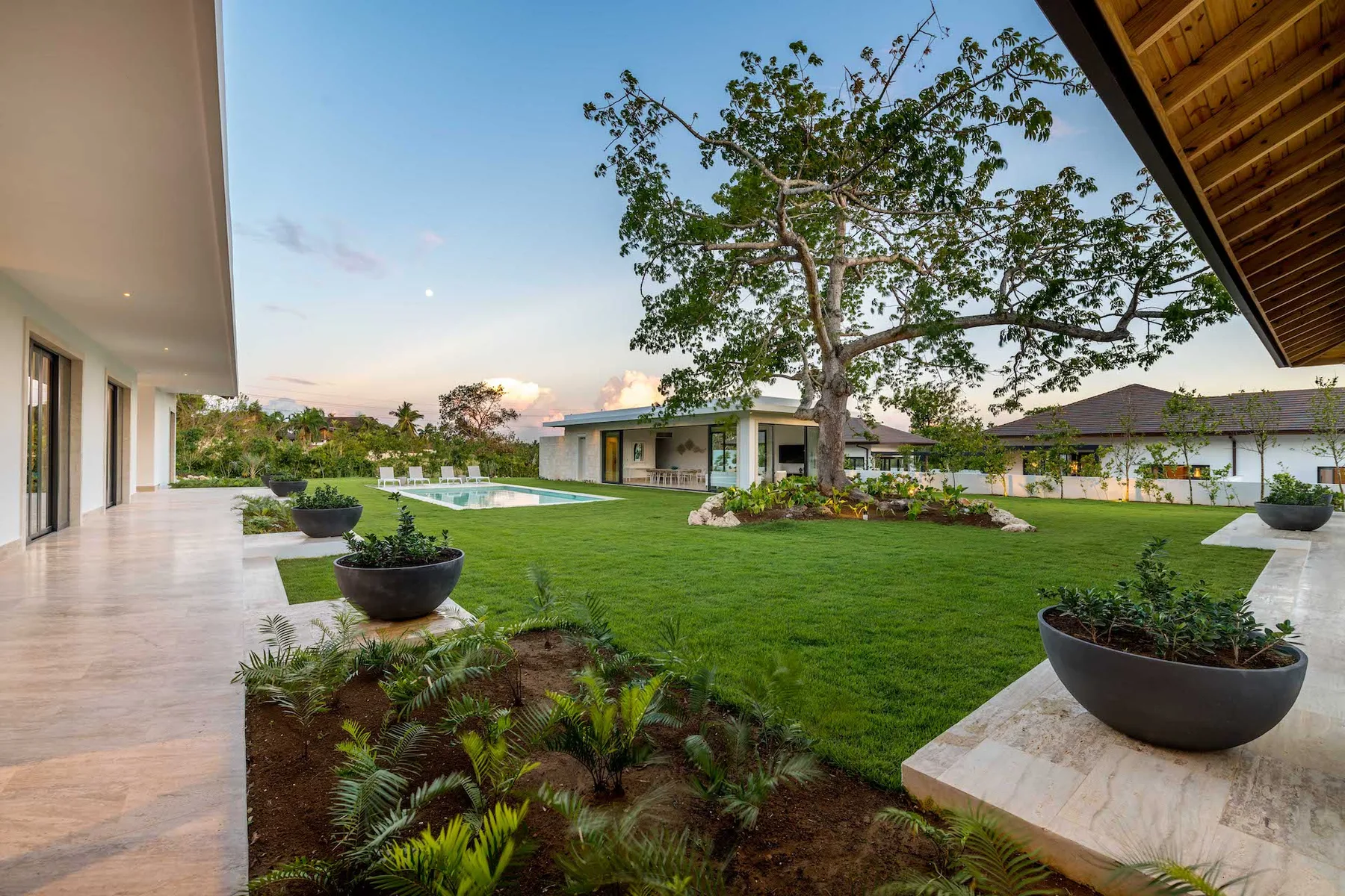 A landscaped courtyard with a broad lawn, mature tree, and surrounding buildings.