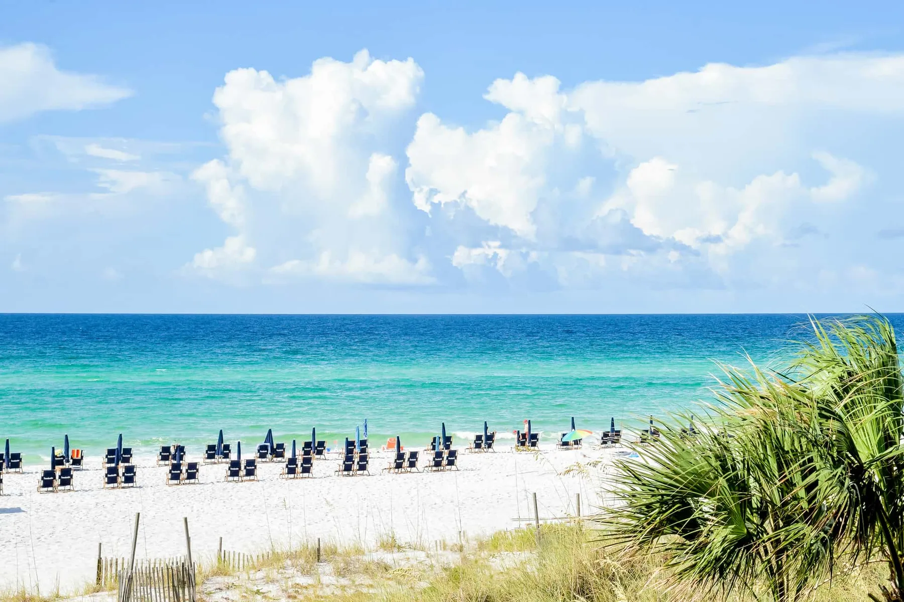 A sandy beach with rows of lounge chairs beside turquoise water.