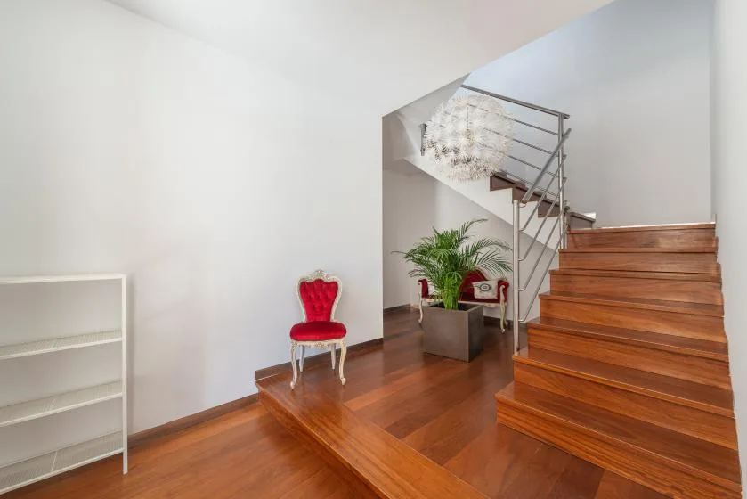 Una escalera de madera sube junto a una planta en maceta en un interior luminoso.