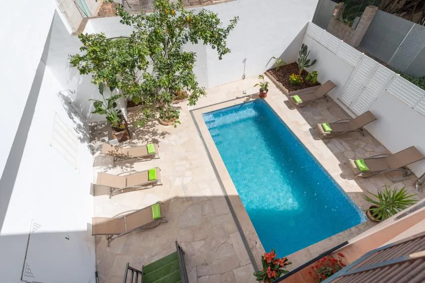 Una piscina en un patio está rodeada de pavimento, tumbonas y plantas.