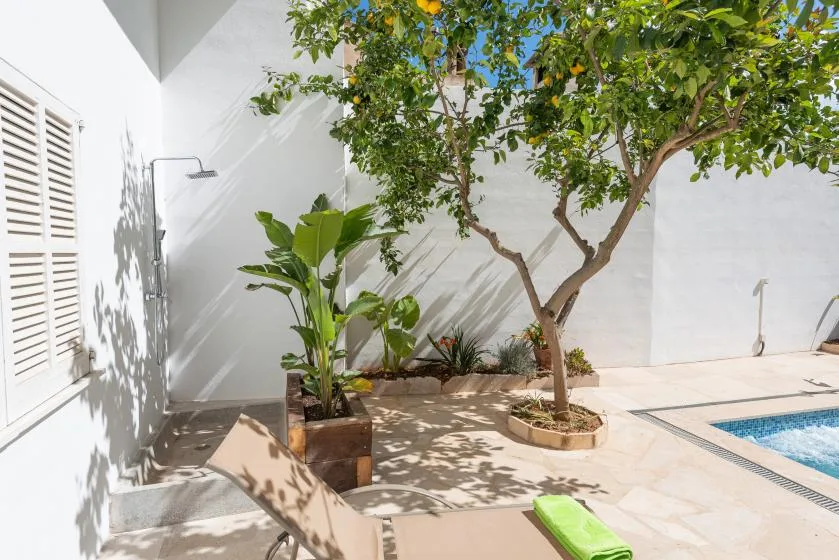 Un patio soleado con un árbol frondoso, plantas en macetas y una pequeña piscina.