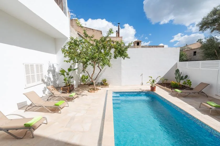 Un patio soleado con piscina, asientos reclinables y plantas en macetas.