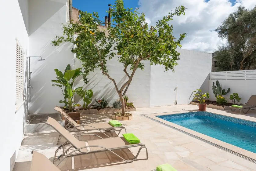 Una piscina soleada en un patio, con tumbonas y un árbol frondoso.