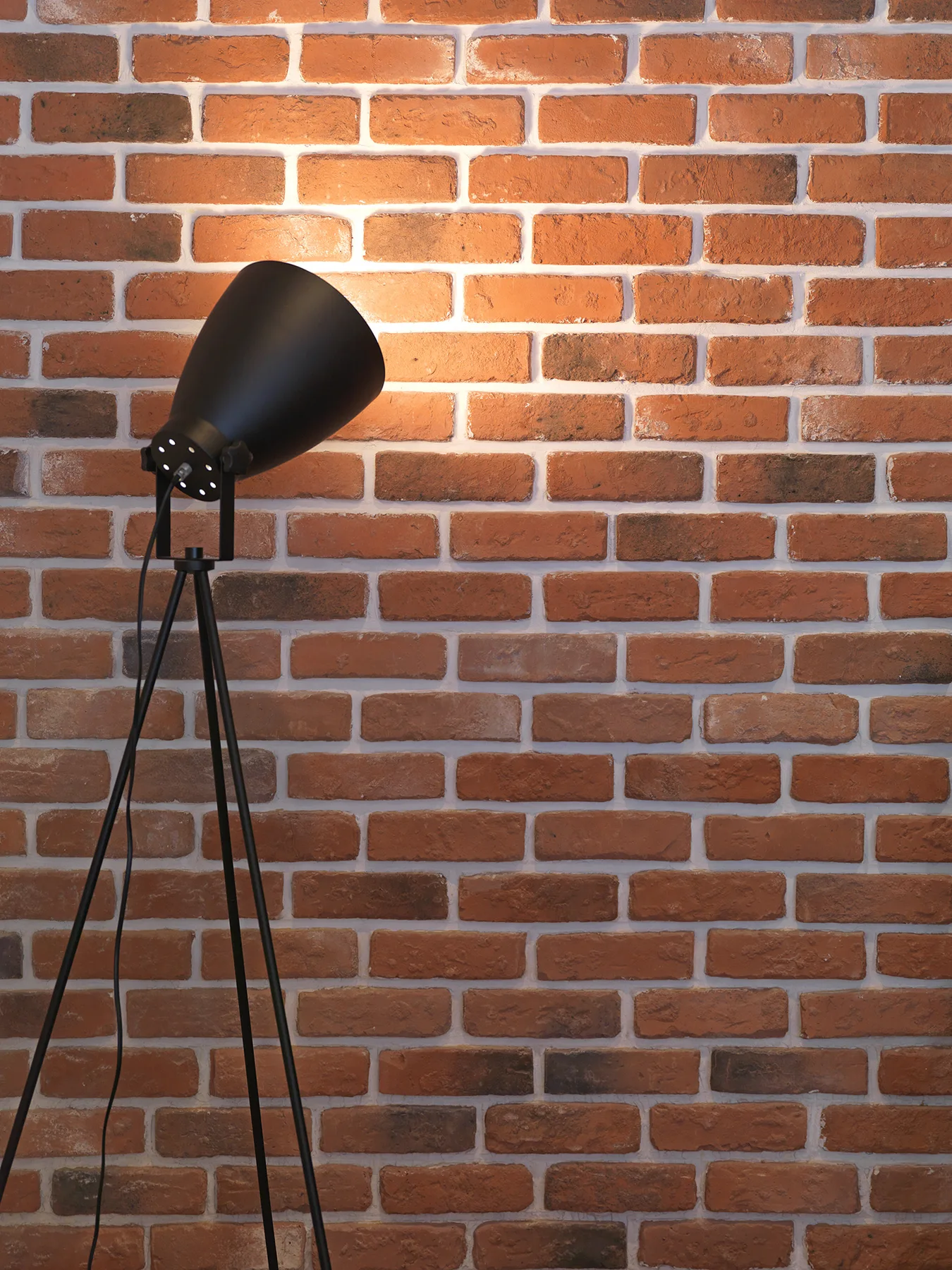 A floor lamp stands in front of an exposed brick wall.