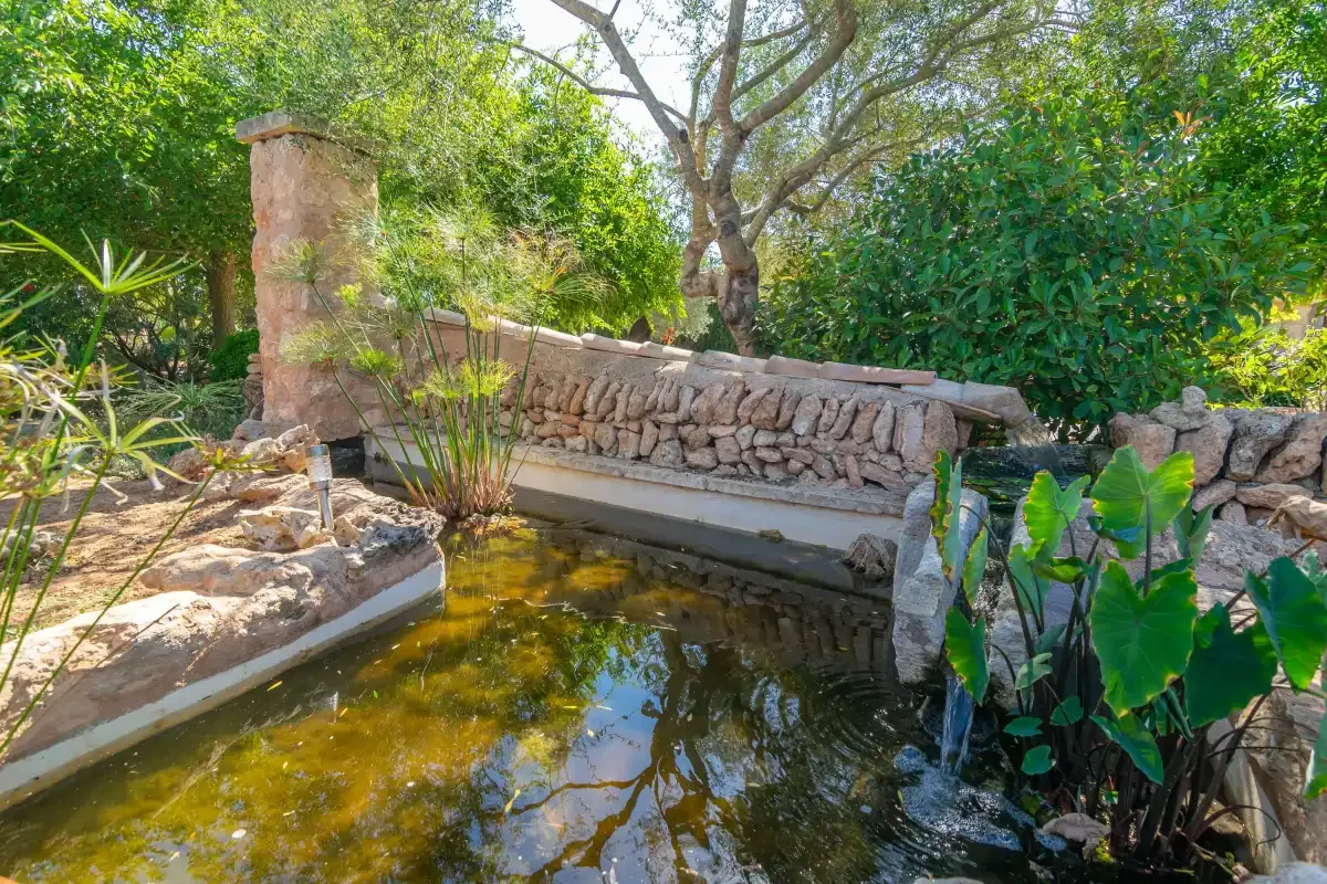 Un estanque de jardín está rodeado de plantas frondosas y un muro bajo de piedra.