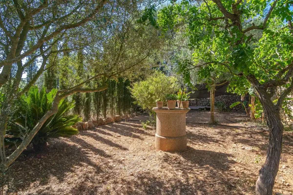 Un jardín sombreado con árboles, plantas frondosas y una jardinera de piedra en el centro.