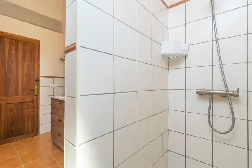 Un baño alicatado con una ducha de pared y una puerta de madera.