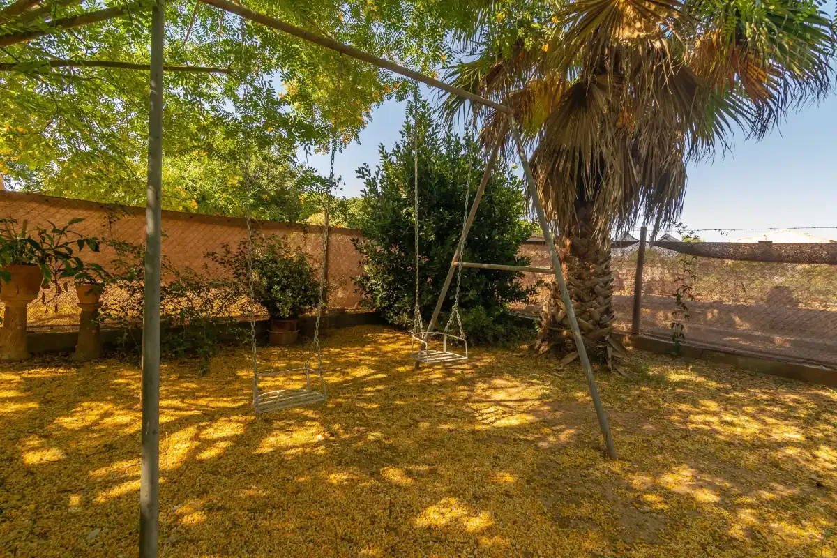 Un jardín sombreado con árboles, una palmera y un columpio.
