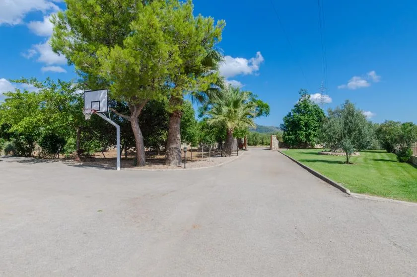 Un camino pavimentado al aire libre pasa junto a vegetación y una canasta de baloncesto.