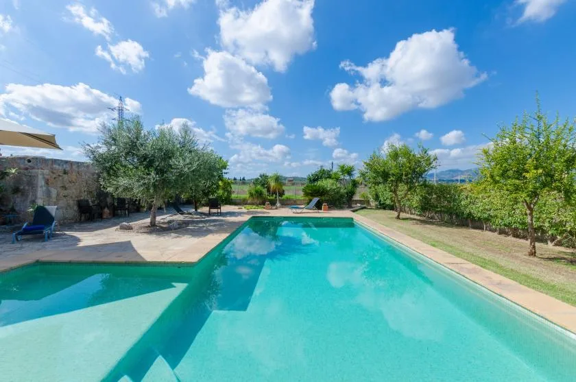 Una piscina al aire libre junto a un patio pavimentado y árboles verdes.