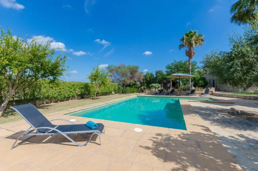 Una piscina al aire libre está rodeada de pavimento, árboles y asientos de descanso.