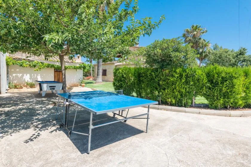 Zona recreativa al aire libre con una mesa azul de ping-pong bajo árboles frondosos.