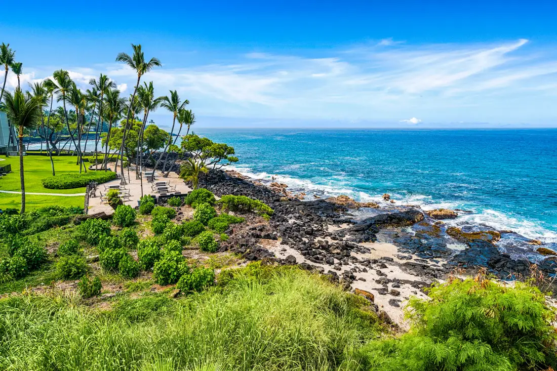 A tropical coastline with palm trees, green lawns, and rocky shore beside the ocean.