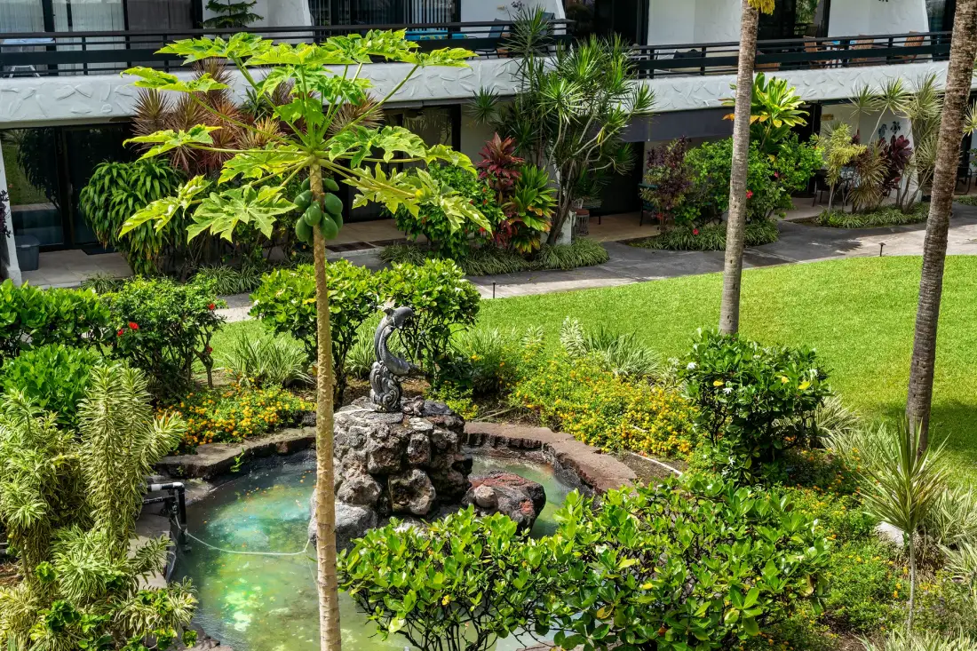 A landscaped garden courtyard with a small pond and tropical plants.