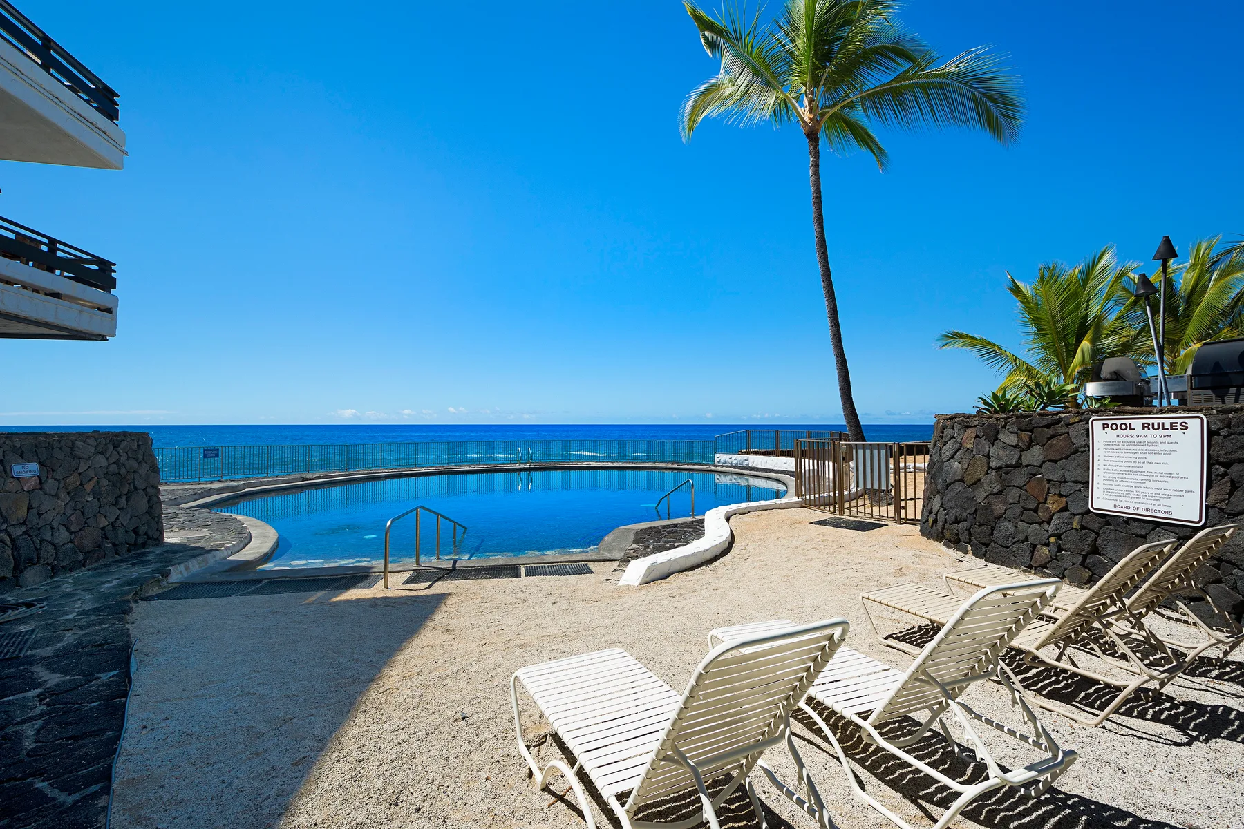 An outdoor pool area overlooks the ocean, with lounge chairs and palm trees nearby.