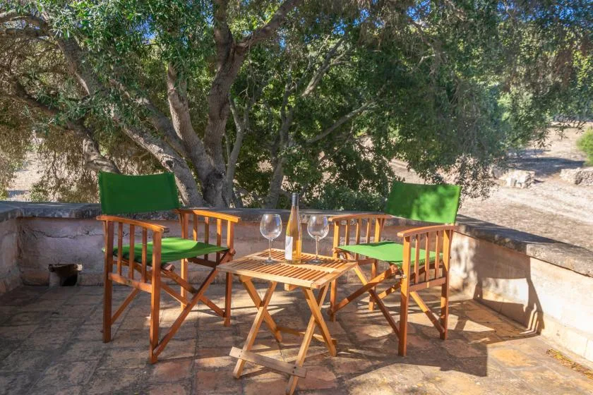 Una zona de estar al aire libre con sillas de madera y una mesa bajo un árbol frondoso.