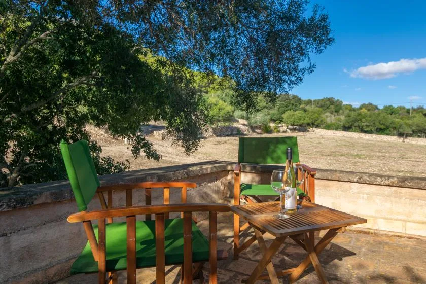 Una terraza exterior a la sombra tiene asientos verdes y una mesa de madera con vistas al campo abierto.