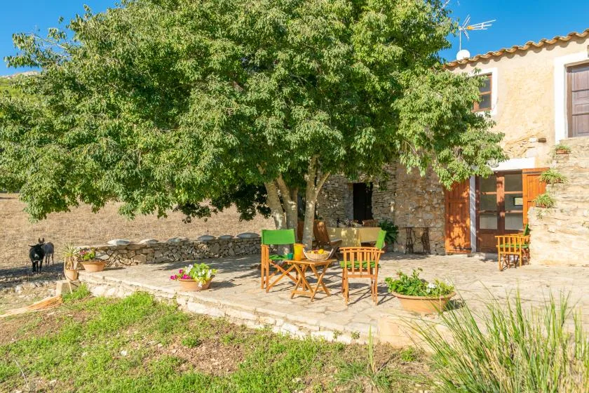 Un patio de piedra con asientos al aire libre está bajo un árbol frondoso junto a una casa.
