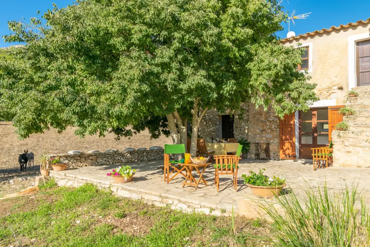 Un patio de piedra con asientos al aire libre bajo un gran árbol frondoso.