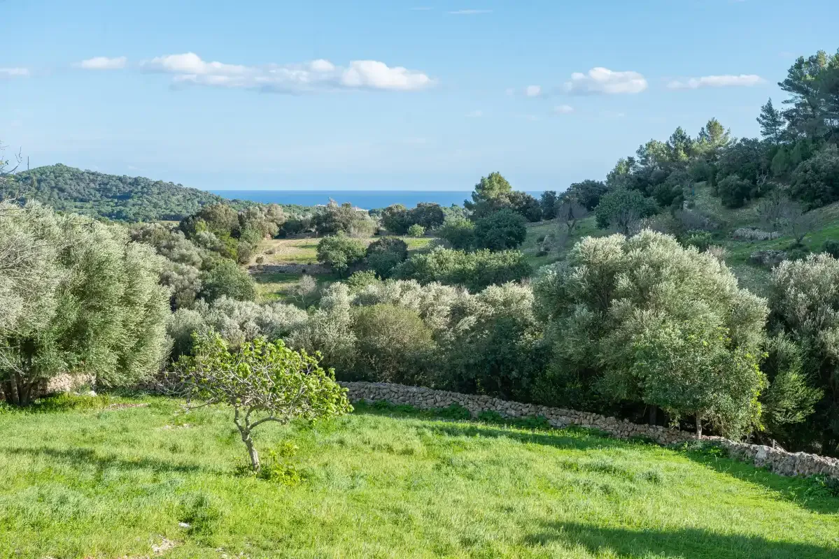 Un paisaje verde con árboles y el mar visible a lo lejos.