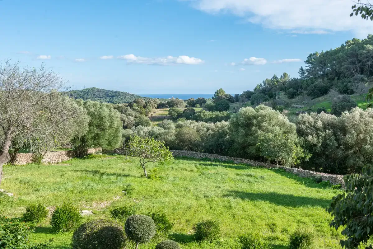 Un paisaje rural verde con árboles, colinas onduladas y el mar a lo lejos.