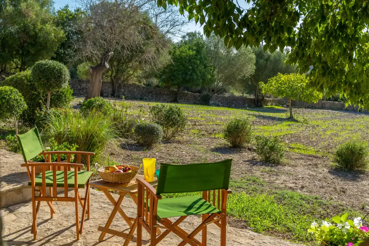 Un patio de jardín con asientos verdes y una mesa pequeña bajo árboles frondosos.