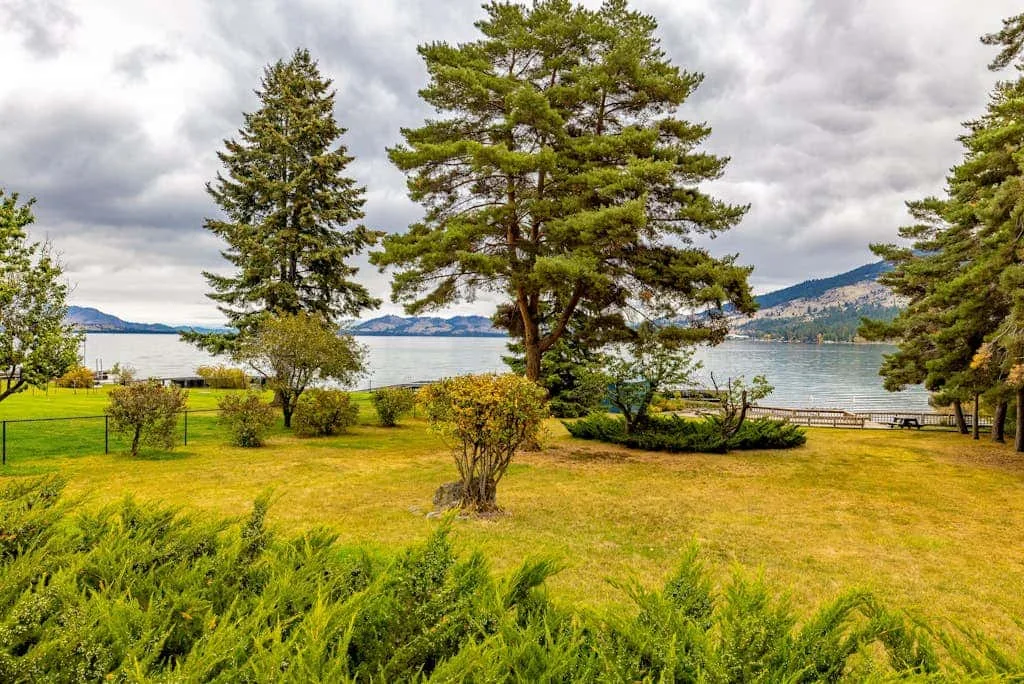 A grassy lakeside yard with trees and distant hills under a cloudy sky.