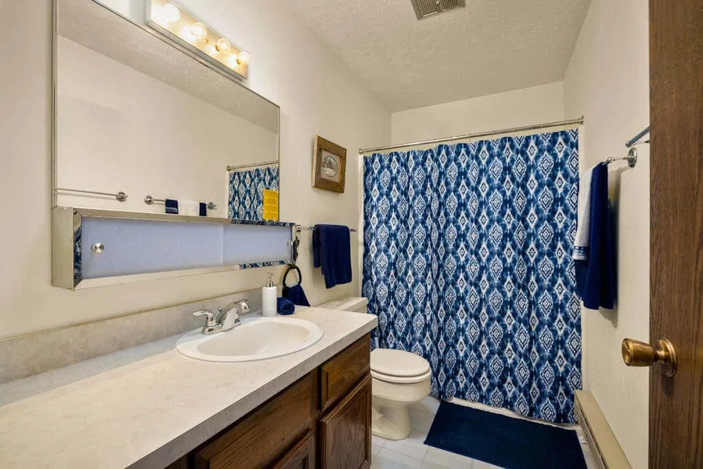 A bathroom with a sink, toilet, and patterned shower curtain.