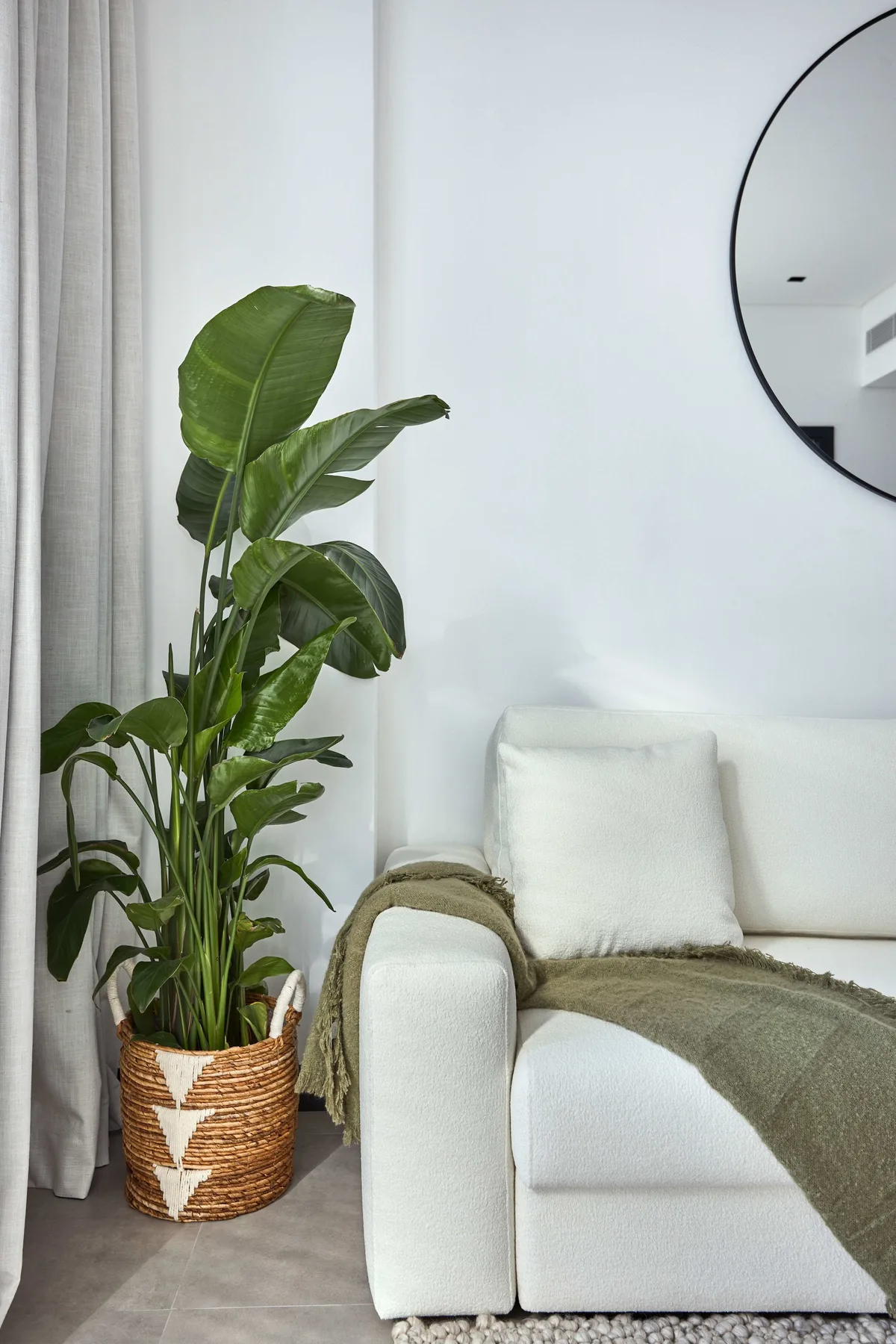 Una sala luminosa con asientos blancos y una planta frondosa en maceta.