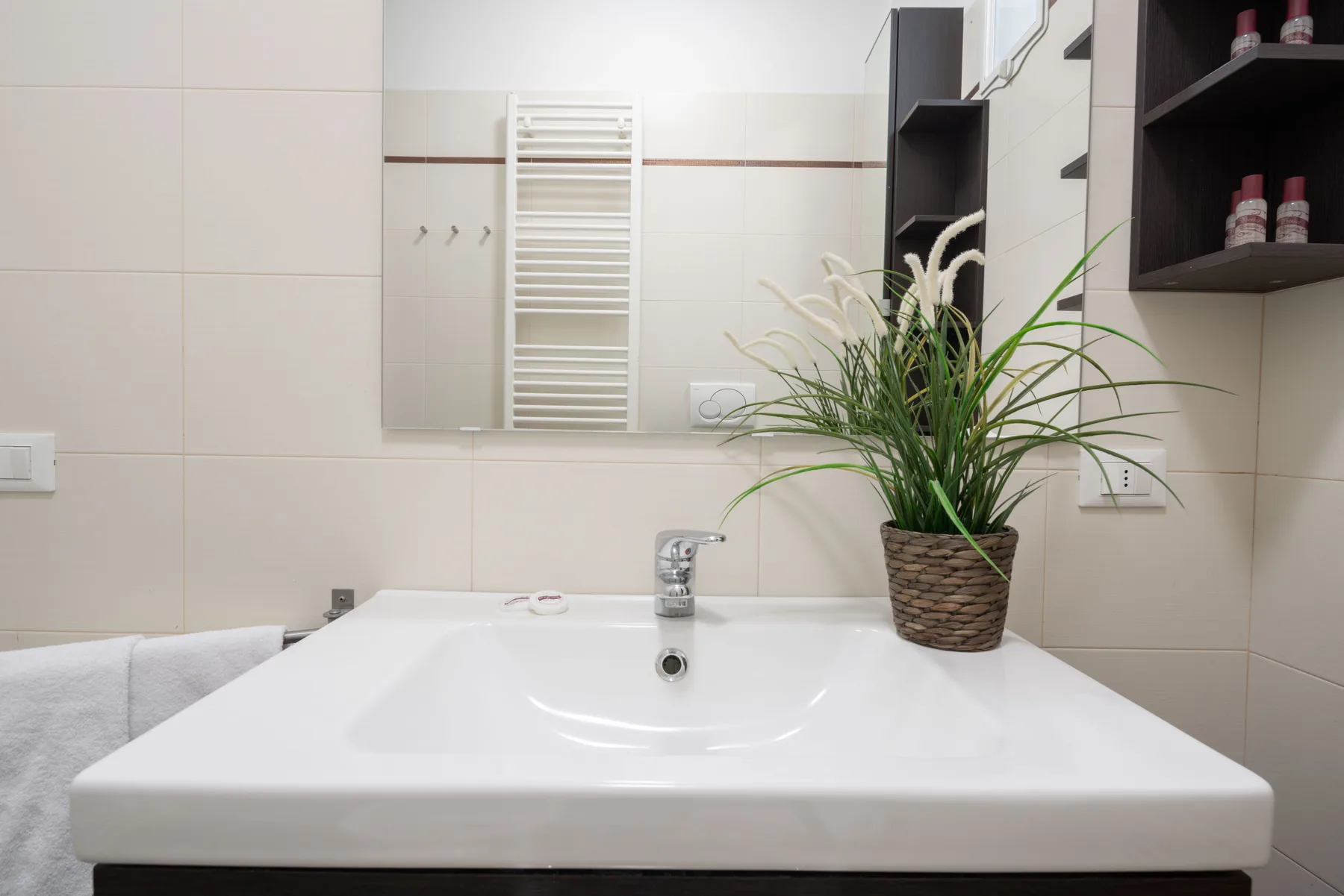 A bathroom vanity with a white sink, wall mirror, and potted plant.