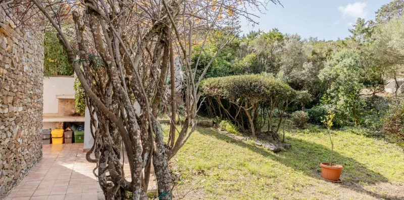 A landscaped garden with a stone wall, trees, and an open grassy area.