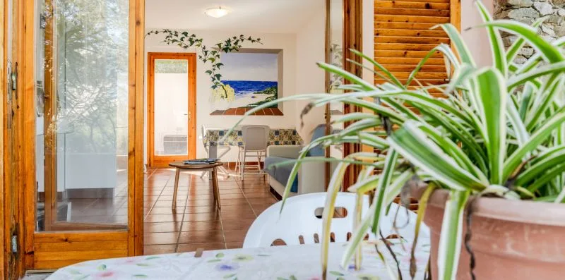 A bright living room with seating, a wooden table, and potted plants.