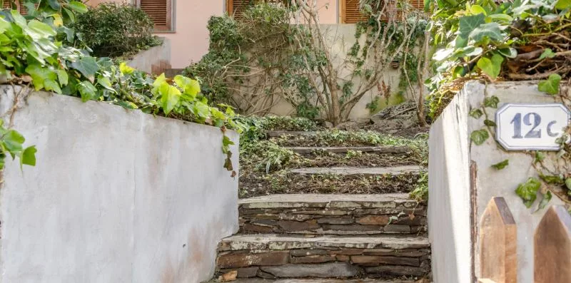 Stone steps rise between white walls and greenery toward a building.