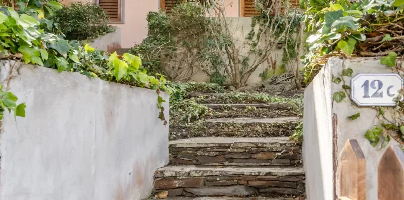 Stone steps lead between white walls toward a plant-filled courtyard.