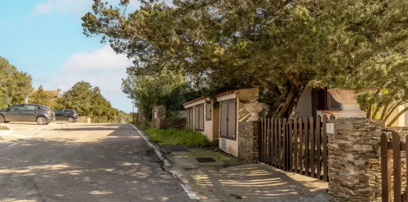 A paved road runs beside a stone wall, wooden gate, and leafy trees.