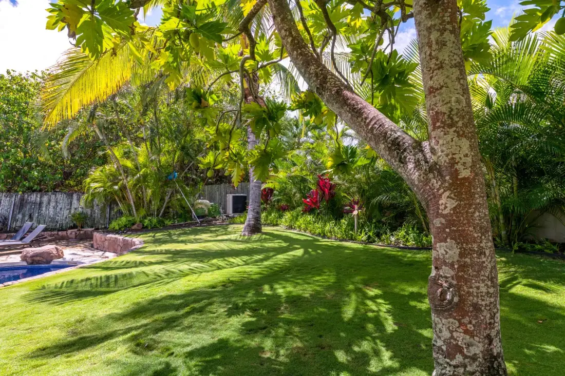A tropical garden with a green lawn, palm trees, and flowering plants.