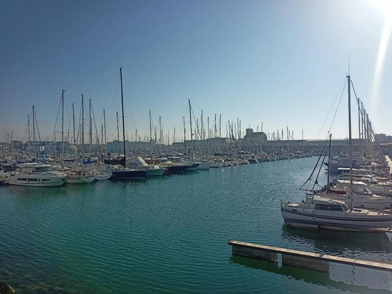 A marina filled with sailboats sits along calm blue-green water.