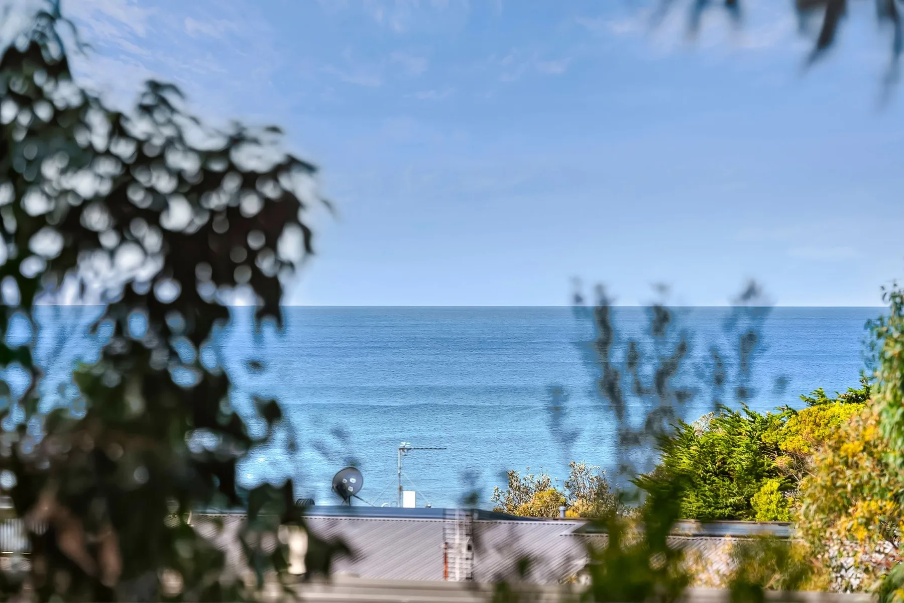 Ocean View Treetops Retreat