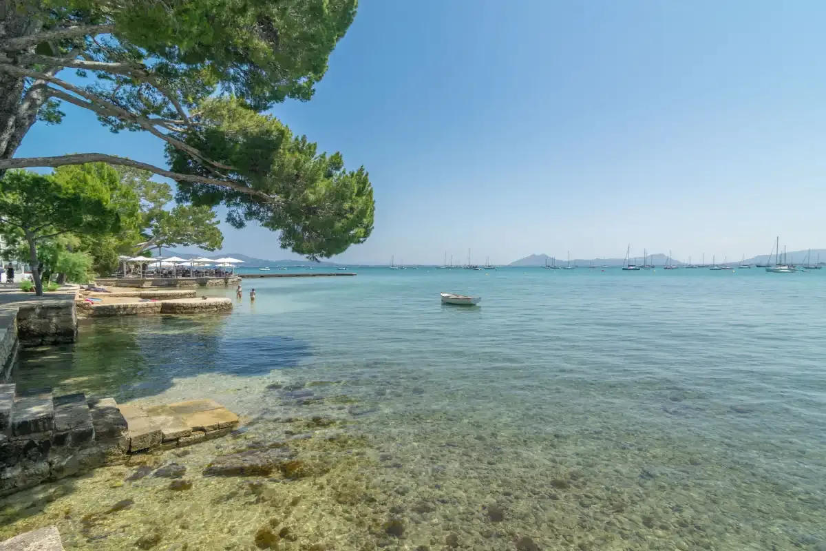 A coastal waterfront with clear shallow water, trees, and boats offshore.