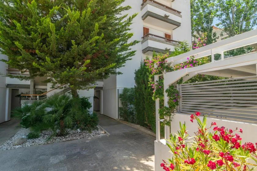An outdoor courtyard with a paved walkway, leafy trees, and flowering plants beside a building.
