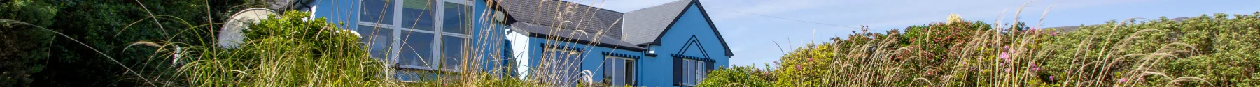 Ferndale property