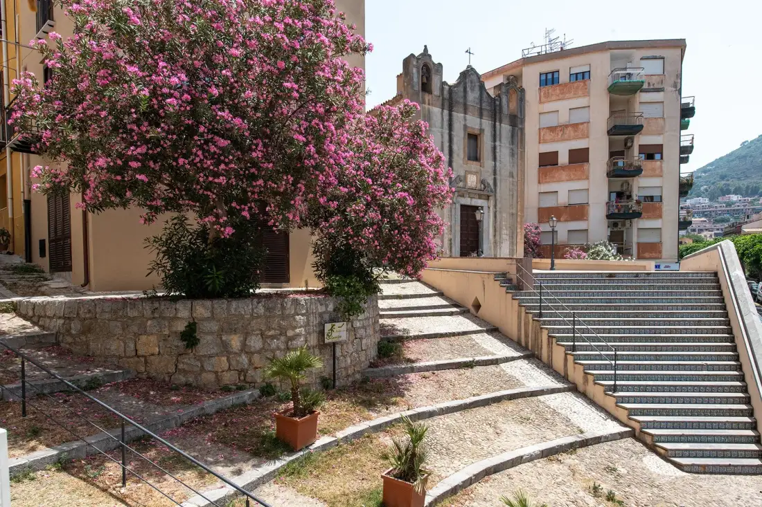 Outdoor stone steps and a staircase lead past flowering trees toward nearby buildings.
