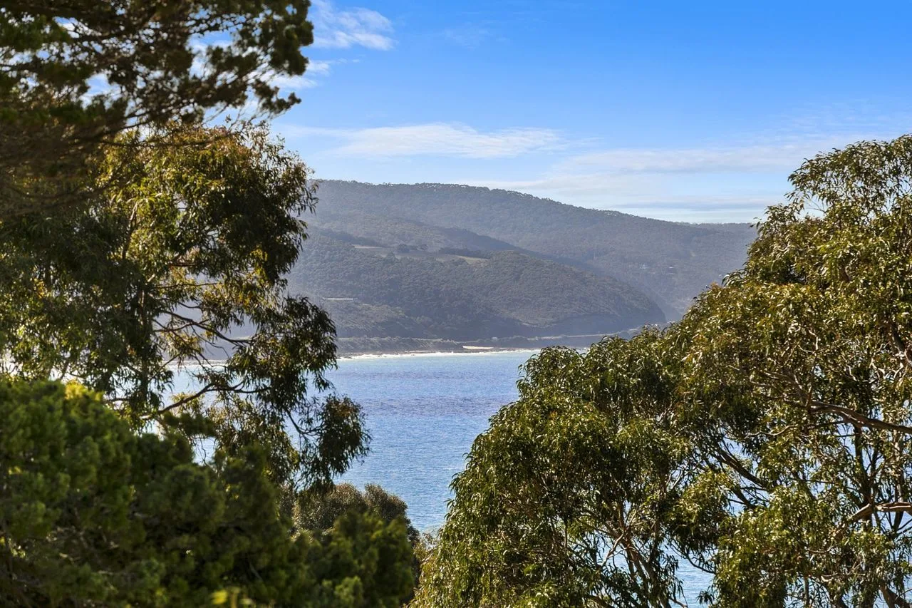A bay and distant hills are visible through leafy trees.