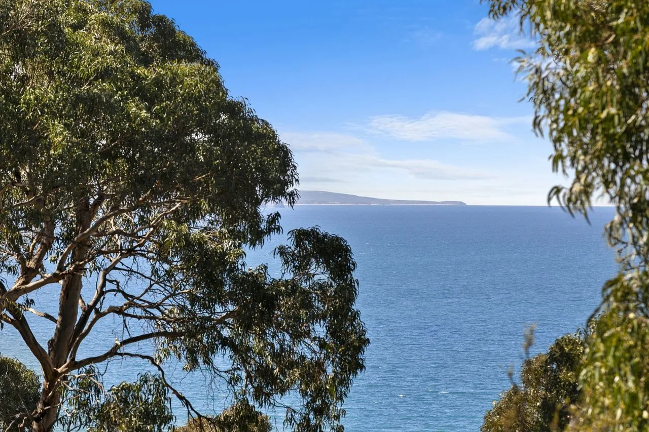 A coastal view of blue water and a distant shoreline framed by trees.