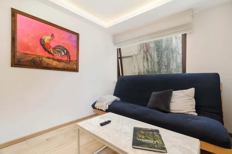 Enchanting 1BR in Prime Polanco