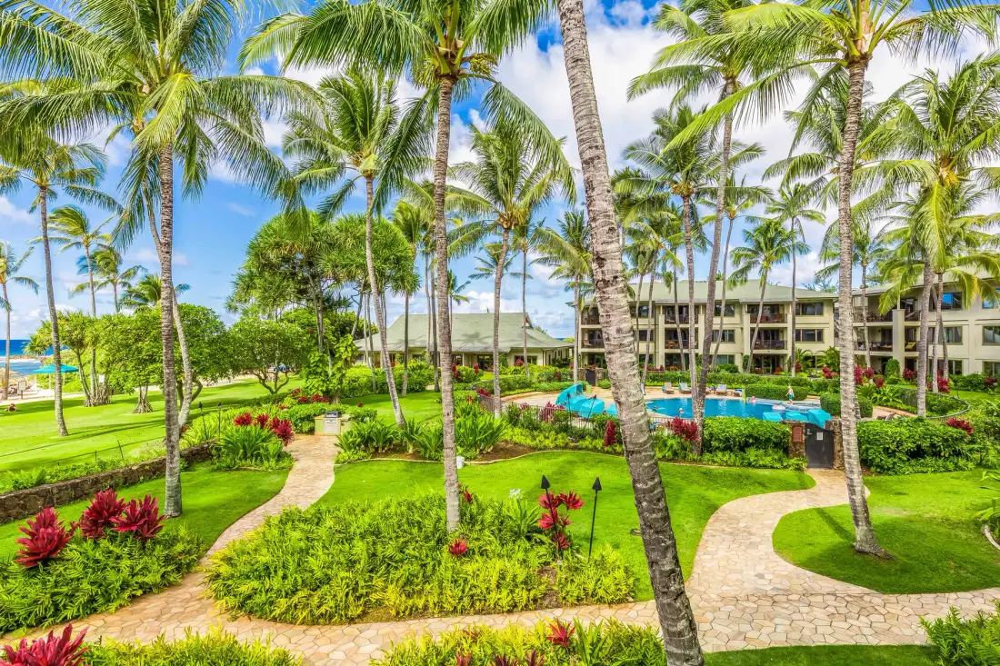A landscaped tropical resort garden with palm trees, winding paths, and a swimming pool.