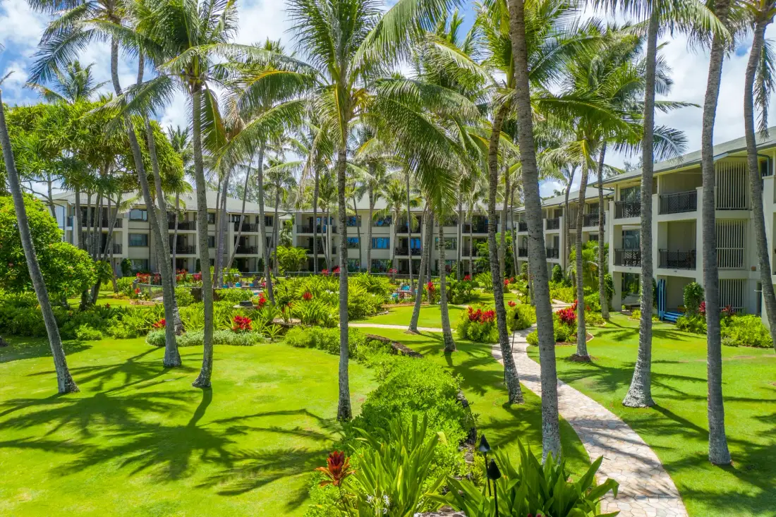 A landscaped courtyard with palm trees, green lawns, and a curving walkway.