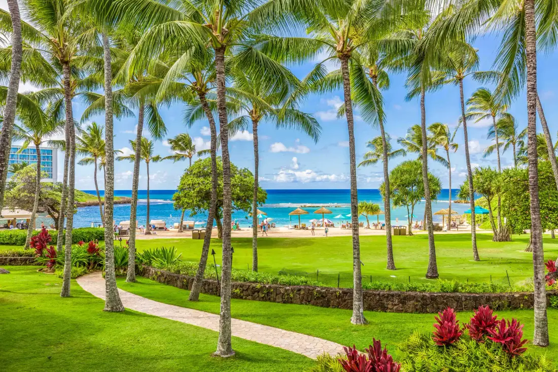 A tropical beachfront garden with palm trees, green lawn, and ocean views.